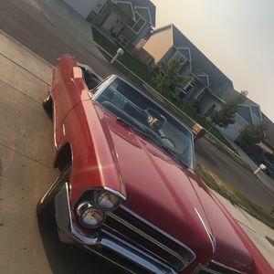 Meet your Posher, Carleigh